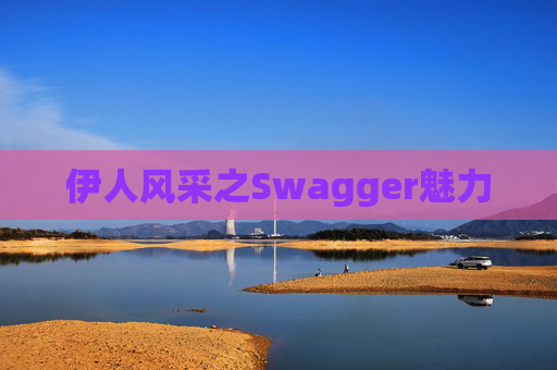 伊人风采之Swagger魅力